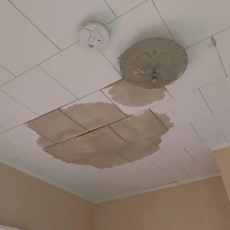 Ceiling Water Damage Repair in Plum Grove, TX