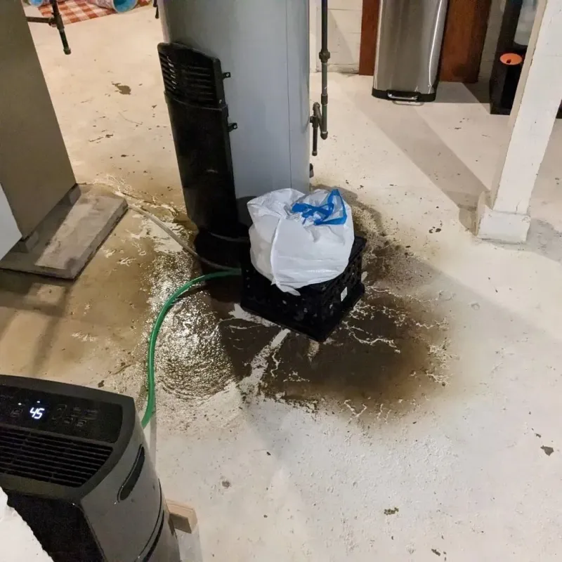 Sewage Backup Cleanup Service in Plum Grove, TX
